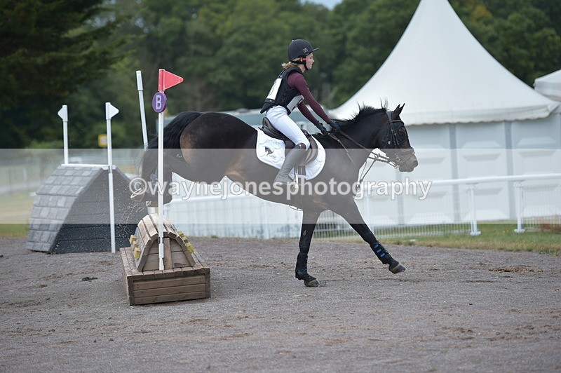 NGP_2014 - XC Time 11:20 to 11:36