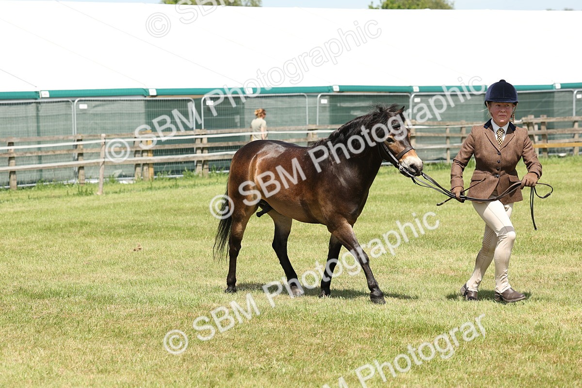 SBM_06853 - Class 26-30 - Mountain and Moorland Ridden