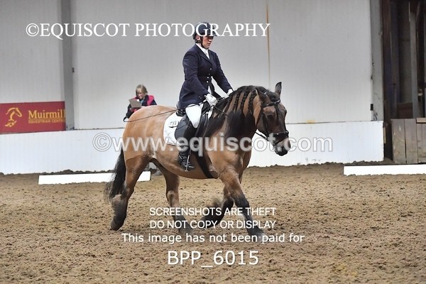 BPP_6015 - ELEM TEST 4