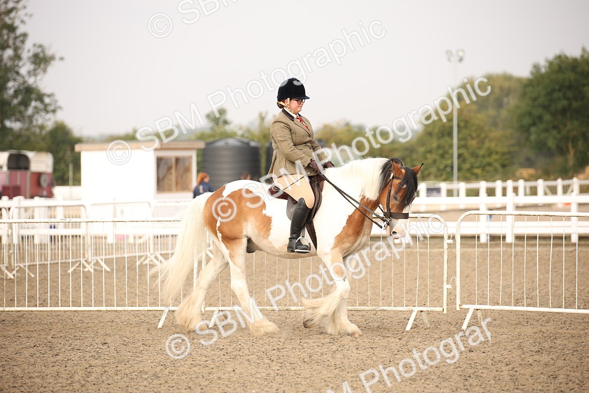 SBM_10193 - Class 402 Riding Club Horse