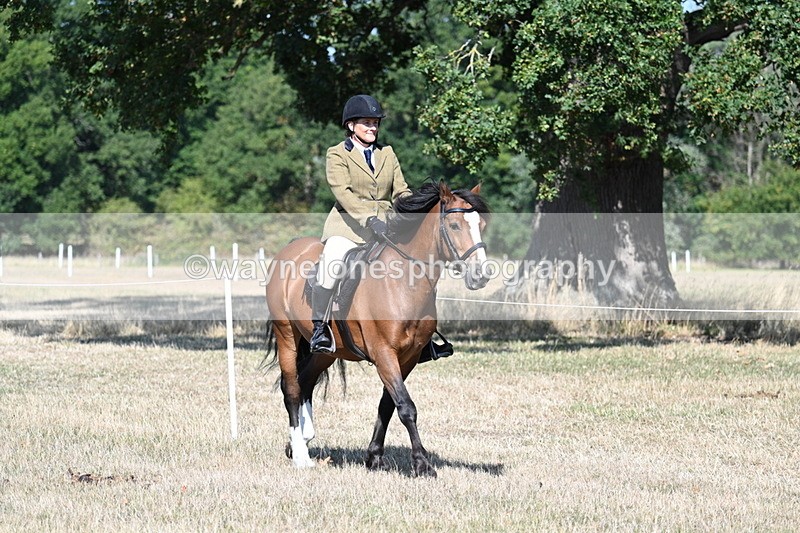 WJ7_3378 - Class 9 Mountain & Moorland Ridden