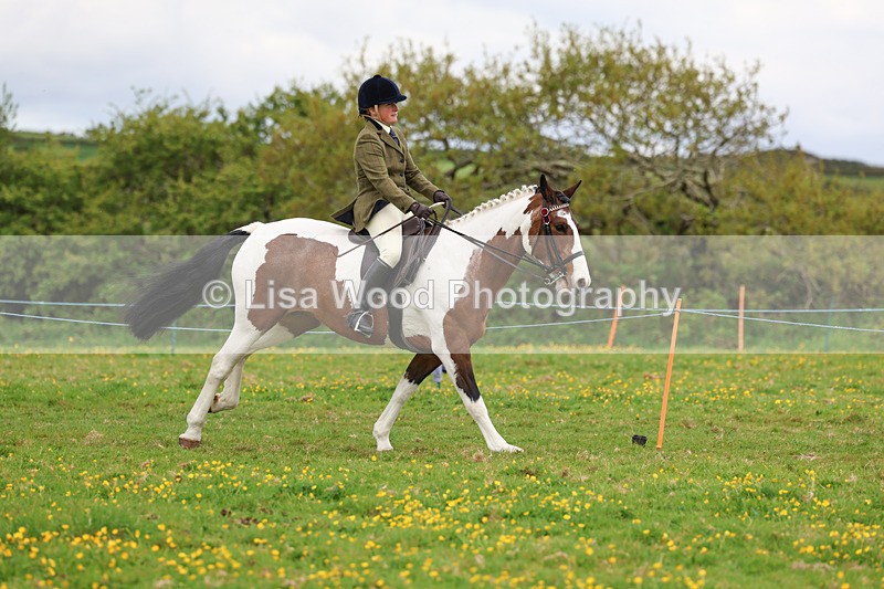 3E7A0970 - Class 6: Ridden Coloured