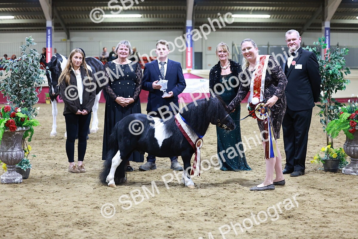 SBM_20860 - Class L - Coloured Champ