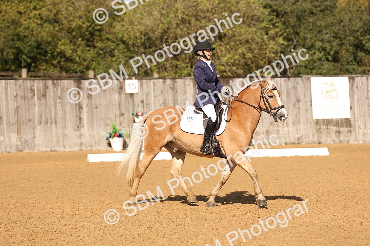 SBM_37677 - D18 - Grand Tour Championship Novice 2