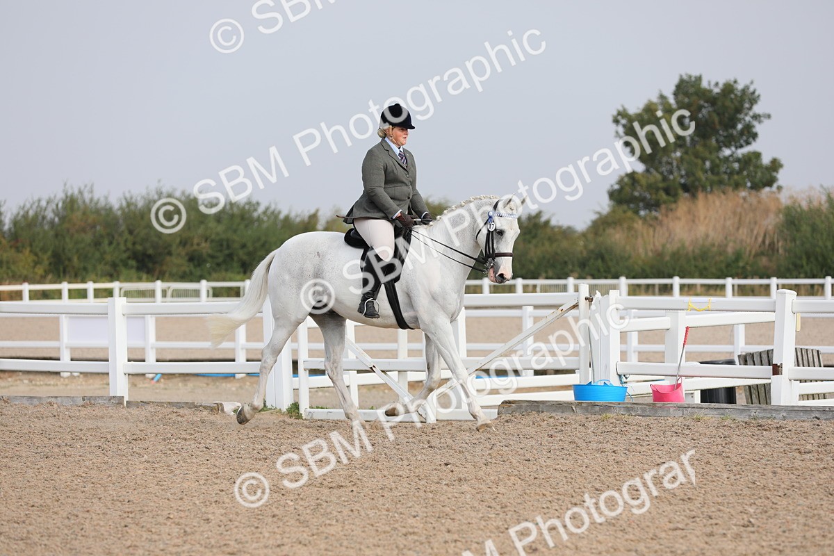 SBM_10865 - Class 304 Ridden Part Bred Horse/Pony