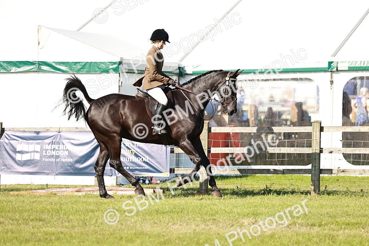 SBM_19231 - Class 115-116 - LIHS BSHA Rising Star Working Hunter & Show Horse
