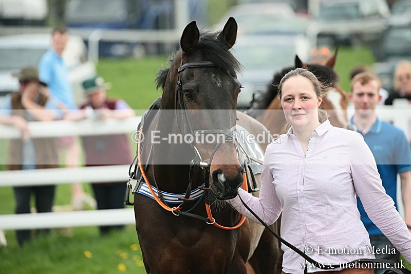 PtP 210418 149 - South & West Wilts Point-to-Point Larkhill 21/04/18