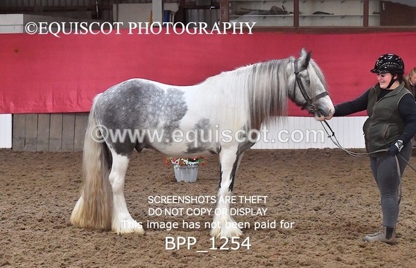 BPP_1254 - MORNING 9AM - 12PM