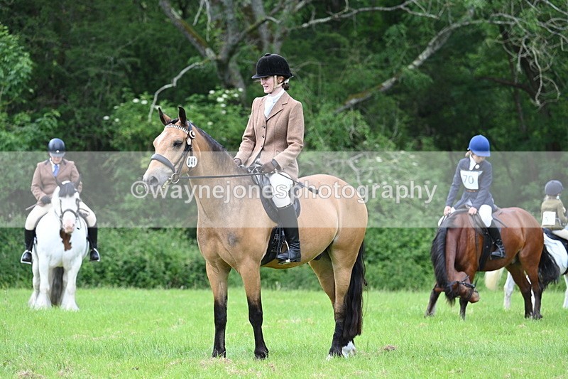 WJ7_1407 - Class 11 Condition & Turnout