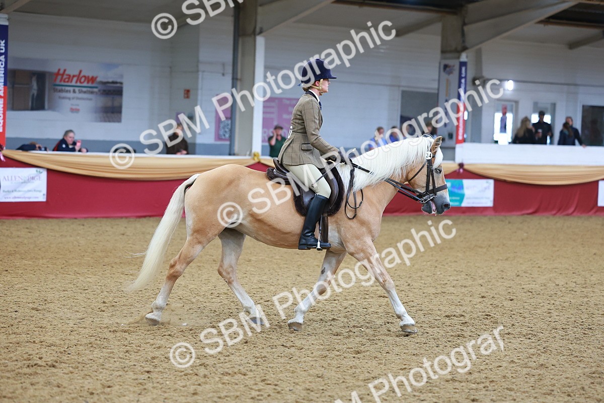 SBM_09785 - Class 102 - HOYS Veteran Qualifier - Ridden Veteran