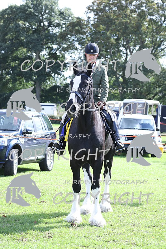 APP_3671 - Class 8 Ridden Class