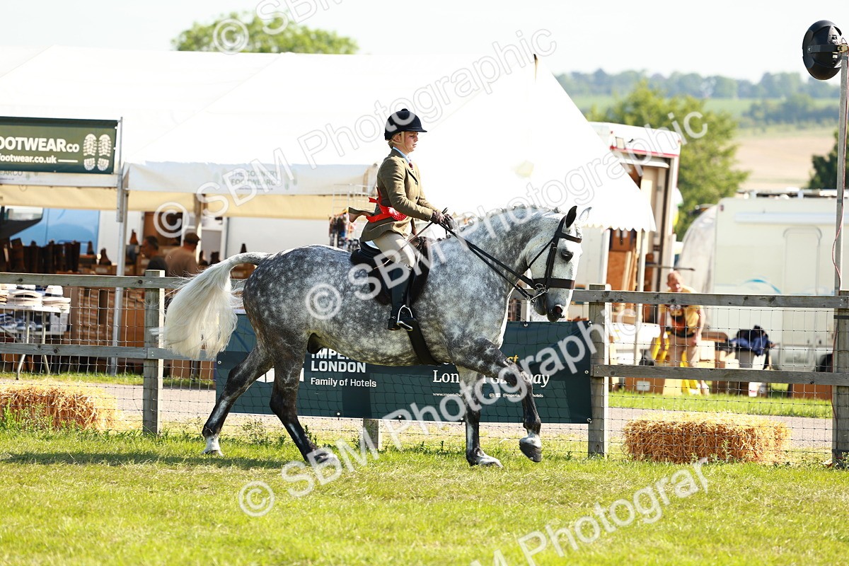 SBM_11910 - Class 66-69 - RIHS Ridden Hunters Inc Small Hunter