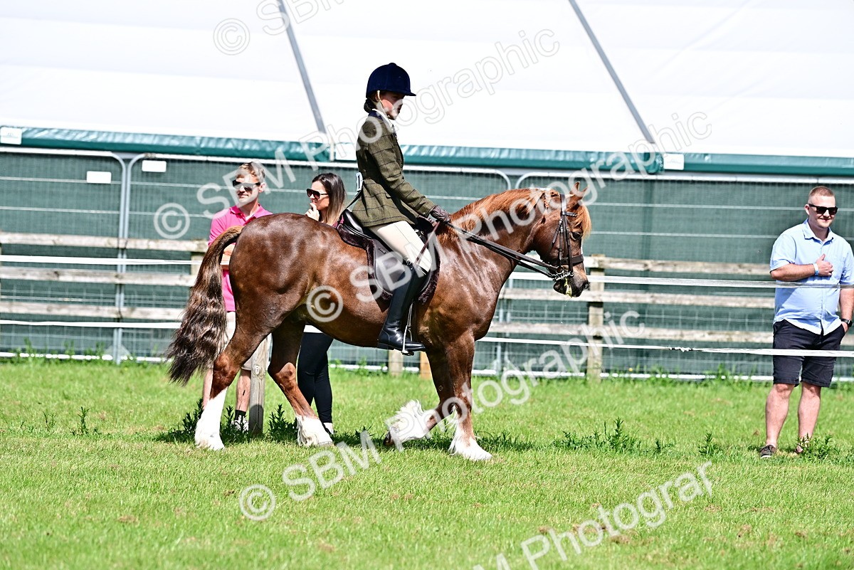 SBM_03711 - Class 58 - TSR  Ridden Veteran Amateur of the year