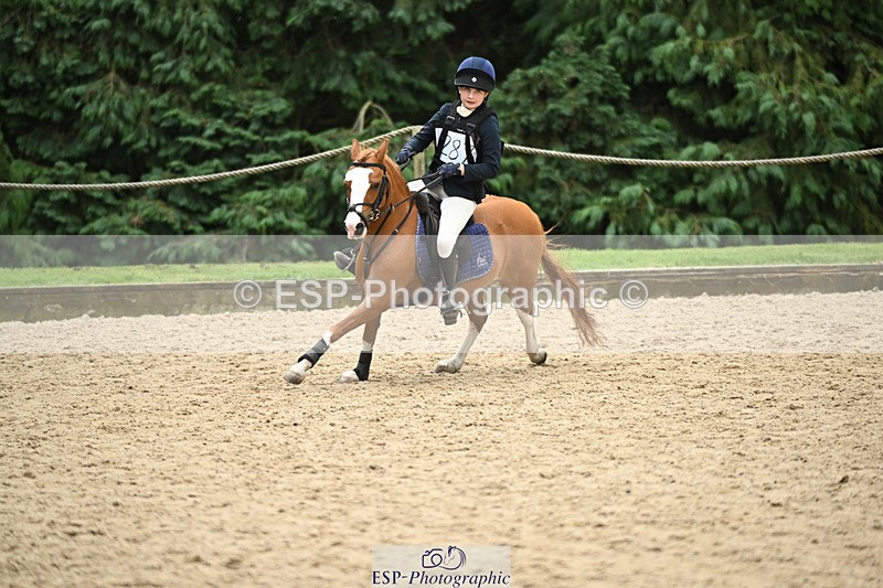 240822X-133210-06503 - 50cm R1 13.00 to 14.00