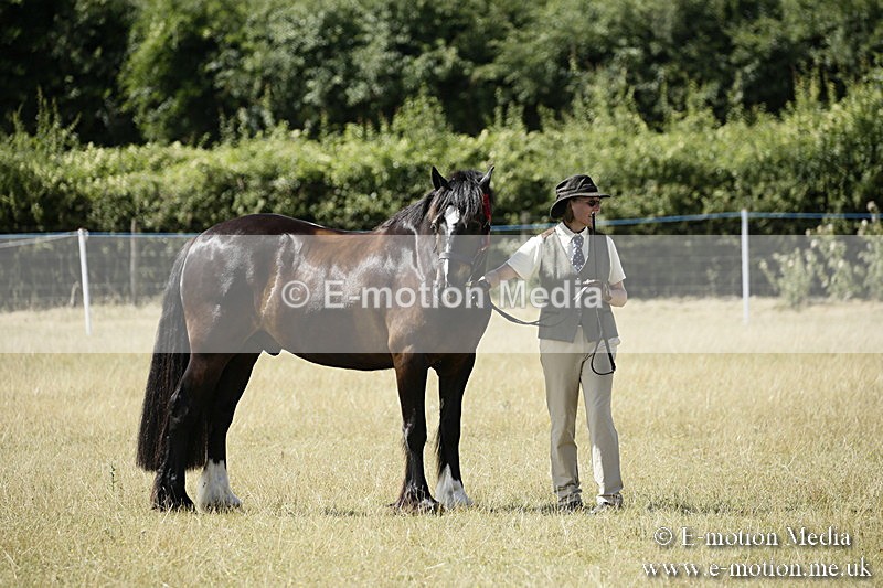 _EP59146 - Roving Camera BVRC Show 2018