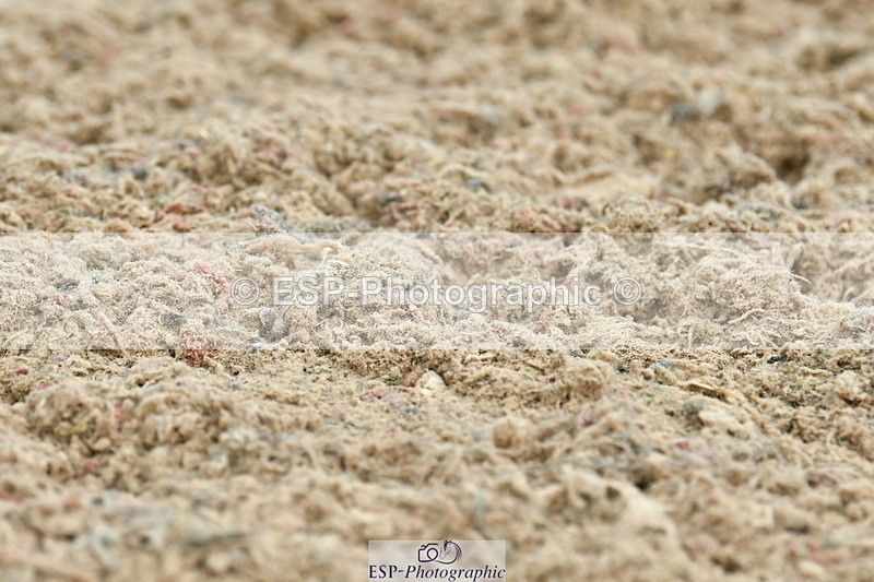 230701A-121041-06018 - Cls 8 Elementary 57