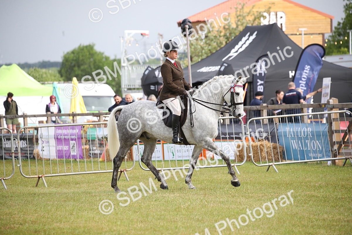 SBM_11497 - Class 95-96 - LIHS BSHA Rising Star Hack Riding Horse