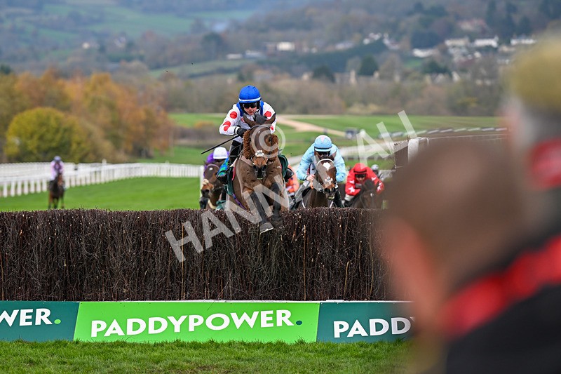 161124-Race 4-Il Ridoto-0425 - Race 4