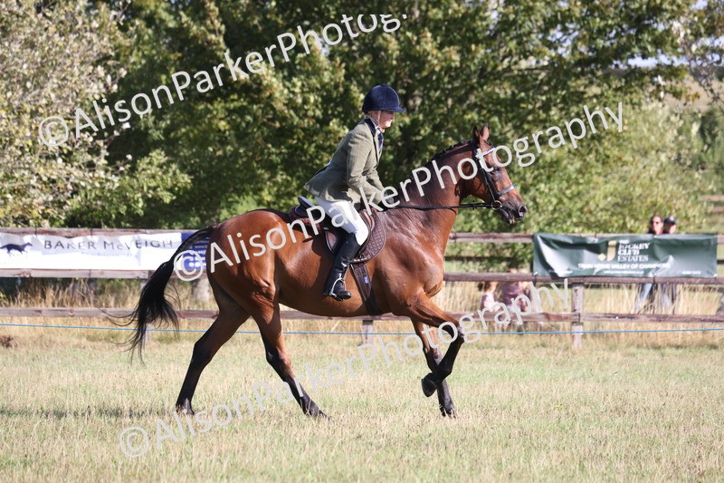 20260906-0365 - Class 14 - Ex Racehorse