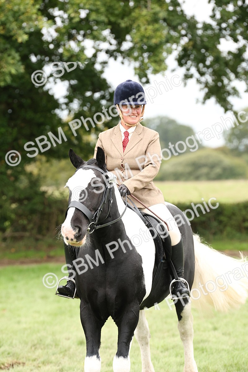 SBM_67305 - S67 - Piebald & Skewbald Horse Ridden