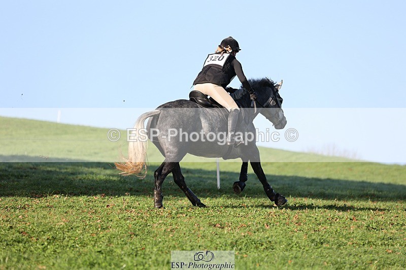 241026-101533-11456 - 320-Alice.Tollworthy-OUR.DOLPHIN.STAR