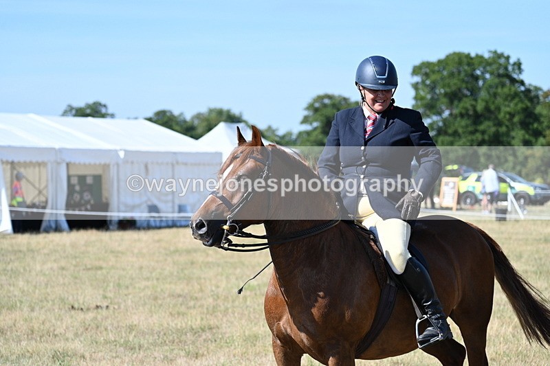 WJ7_3823 - Class 9 Mountain & Moorland Ridden