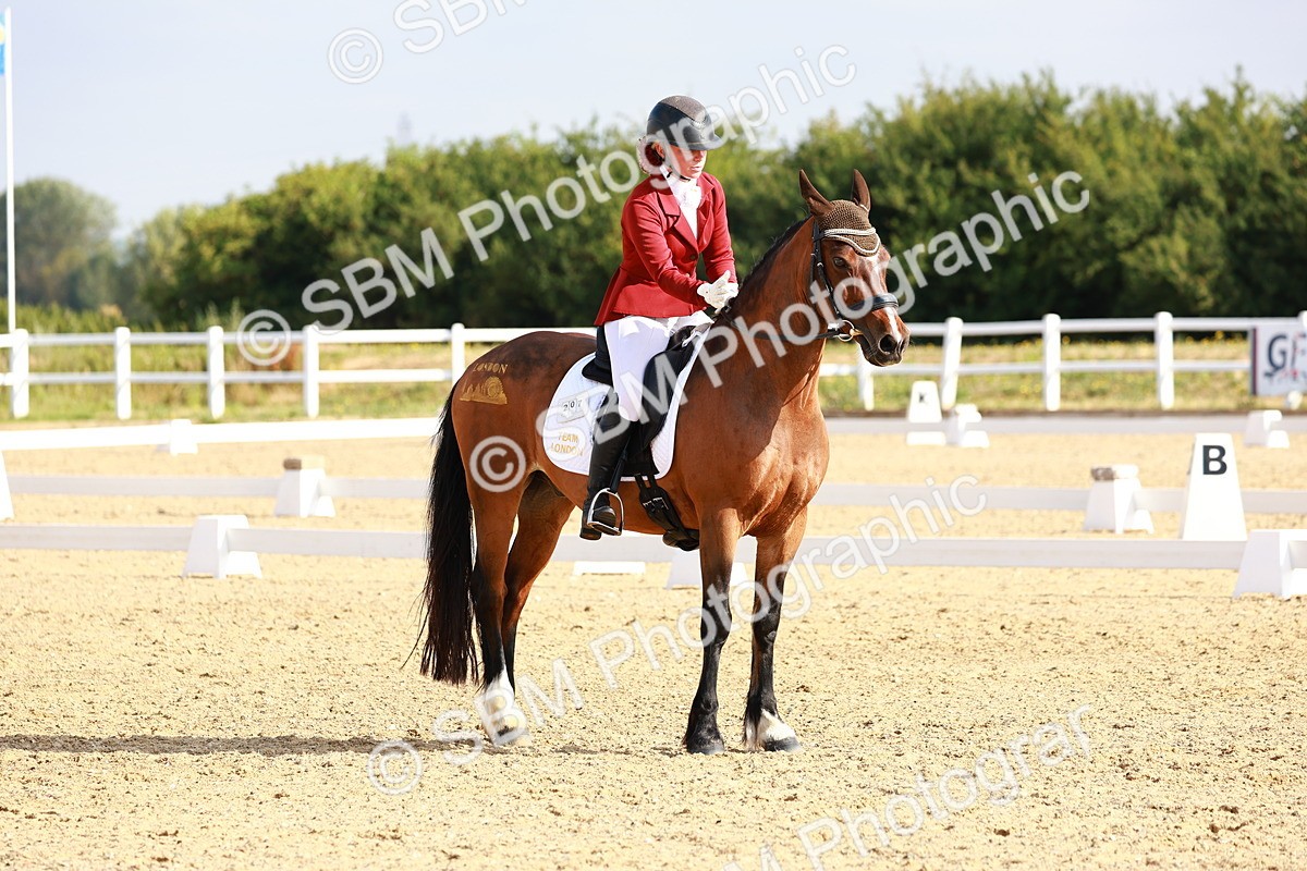 SBM_008206