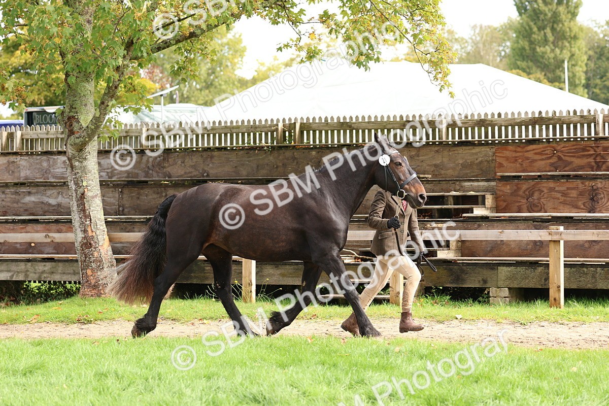 SBM_40740 - S25 -  Veteran In Hand