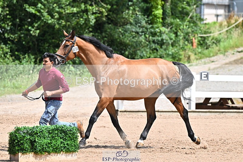 240718A-105246-01141 - Trot Up 12pm to 1pm