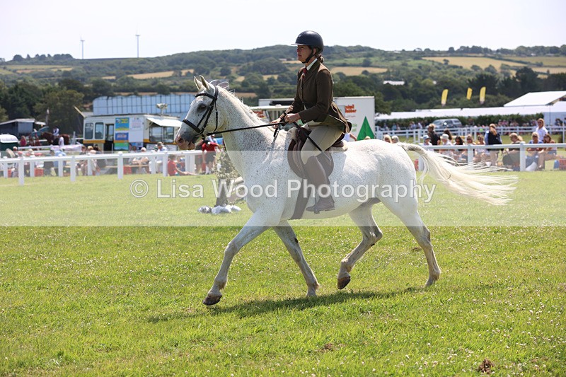 JPP_2679 - Class 21: Working Hunter 60cm