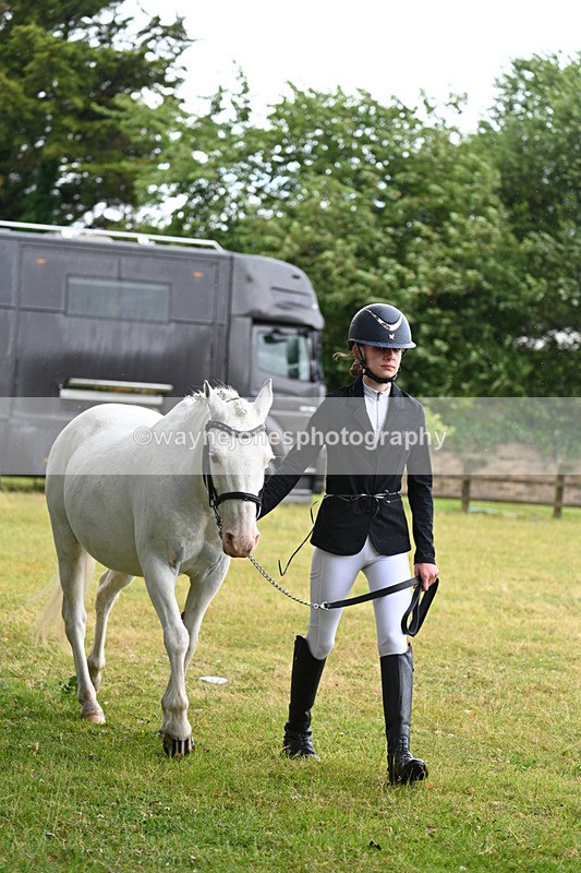 WJ7_5826 - Class 4 Prettiest Mare in Hand