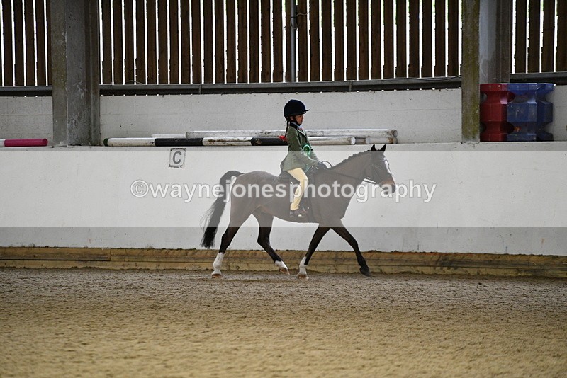 WJ5_7408 - Class 11 Ridden PC - RC Pony