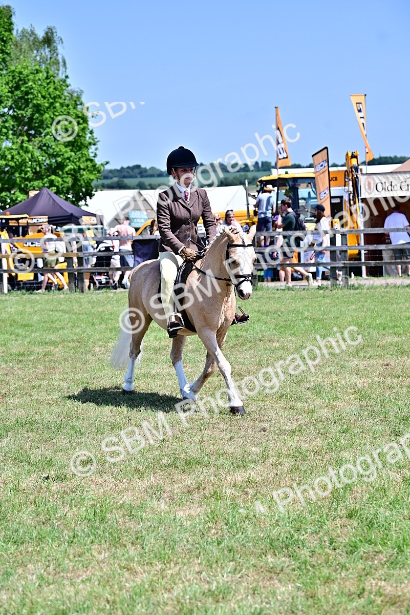 SBM_15334 - Class 95-97 - BSPS LHS Performance Ponies