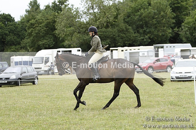 BVR160717-959 - Ring 3 BVRC Show 16/07/17