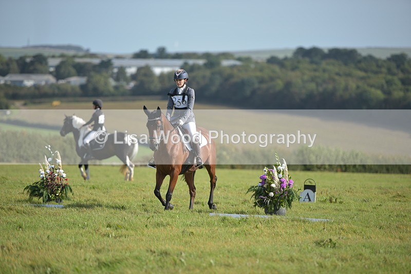 RAY_7530 - Class 2B: Trekenning Open: Dressage