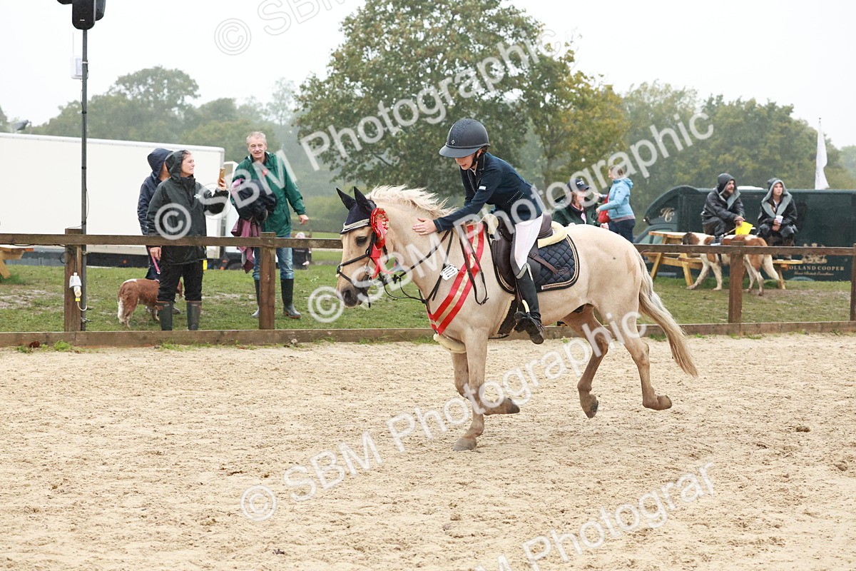 SBM_73659 - Supreme Championship Junior Pony 60cm & 65cm