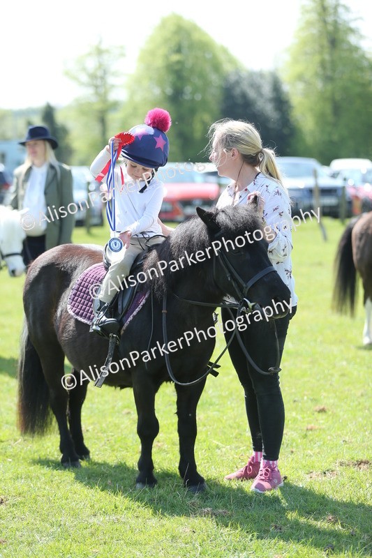 20250427-2745 - Class 6 - Pony Judge Would Most Like To Take Home