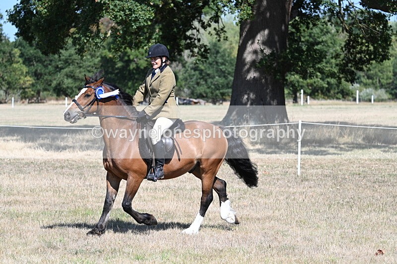 WJ7_4243 - Class 9 Mountain & Moorland Ridden