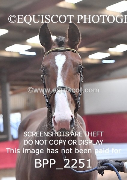 BPP_2251 - AFTERNOON 12.30 - 3.30PM