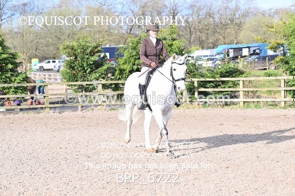 BPP_6722 - RING 1  (RIDDEN HORSES / IN HAND / VETERAN ETC)