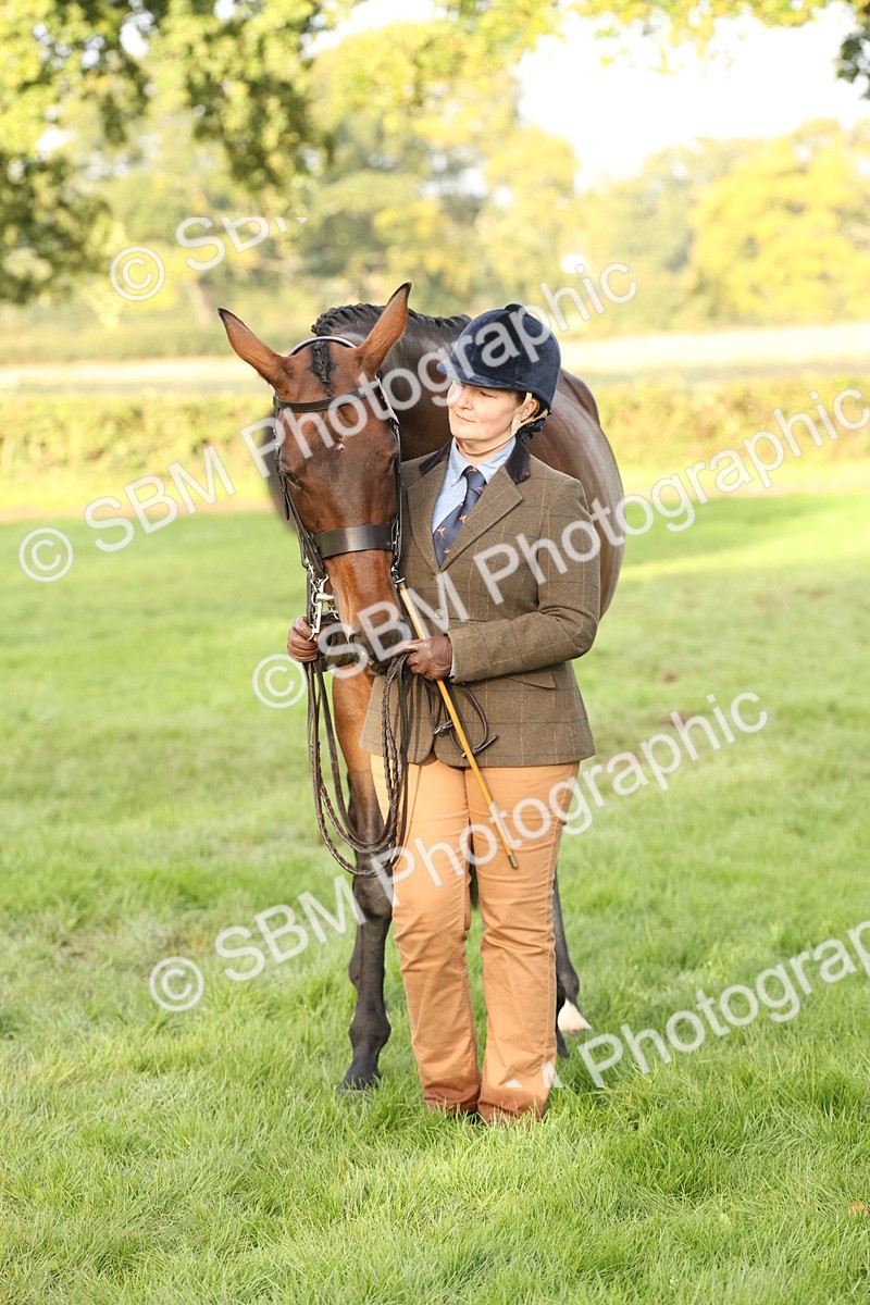 SBM_54963 - S52 - Riding Horse & Hack & thoroughbred In Hand