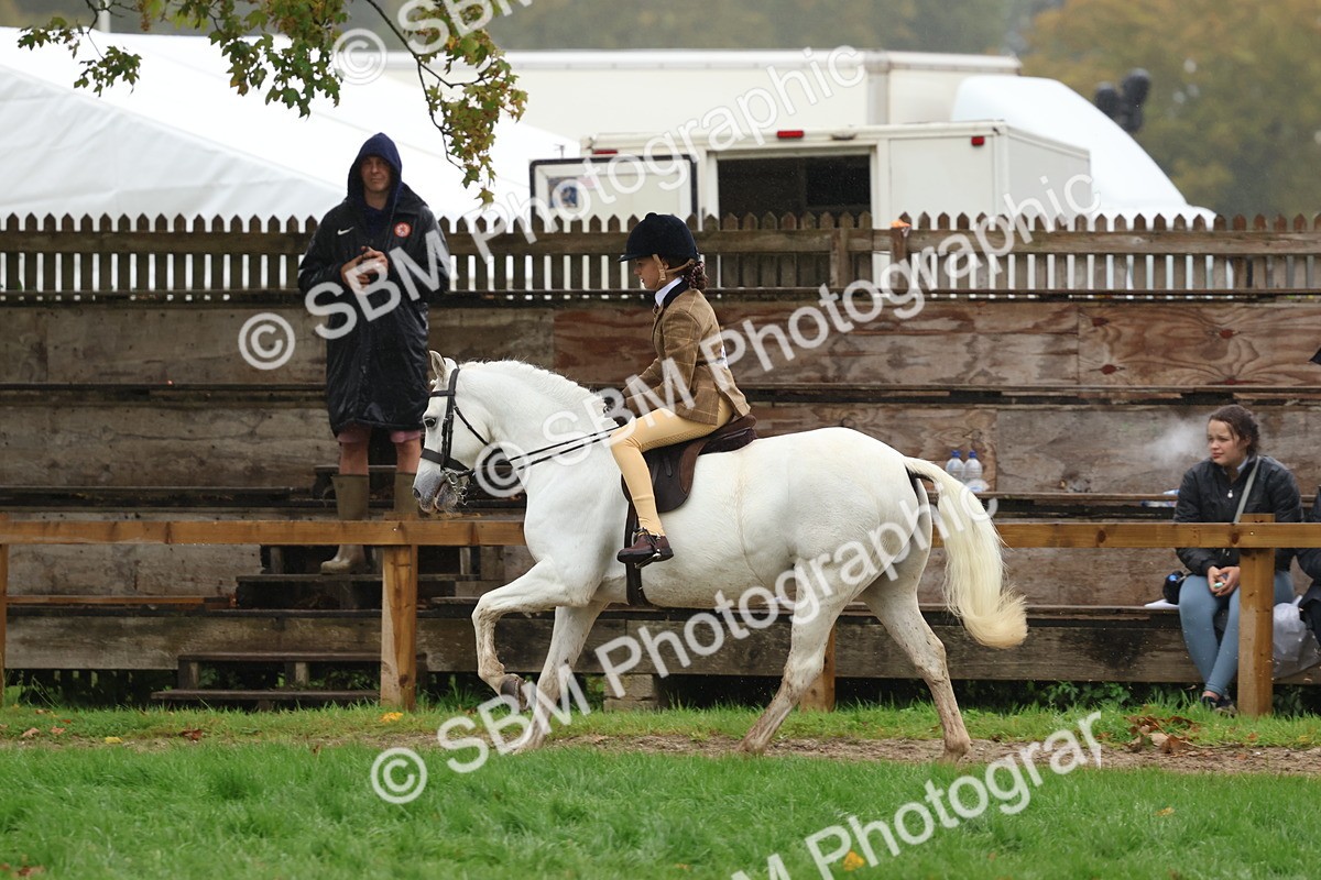 SBM_73051 - S63 Show Pony & Show Hunter Pony Ridden