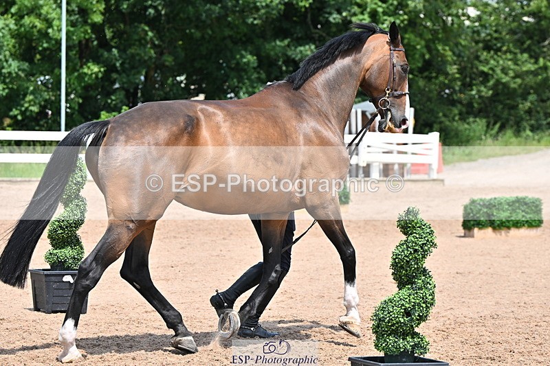 240718A-105319-01840 - Trot Up 1pm to 2pm