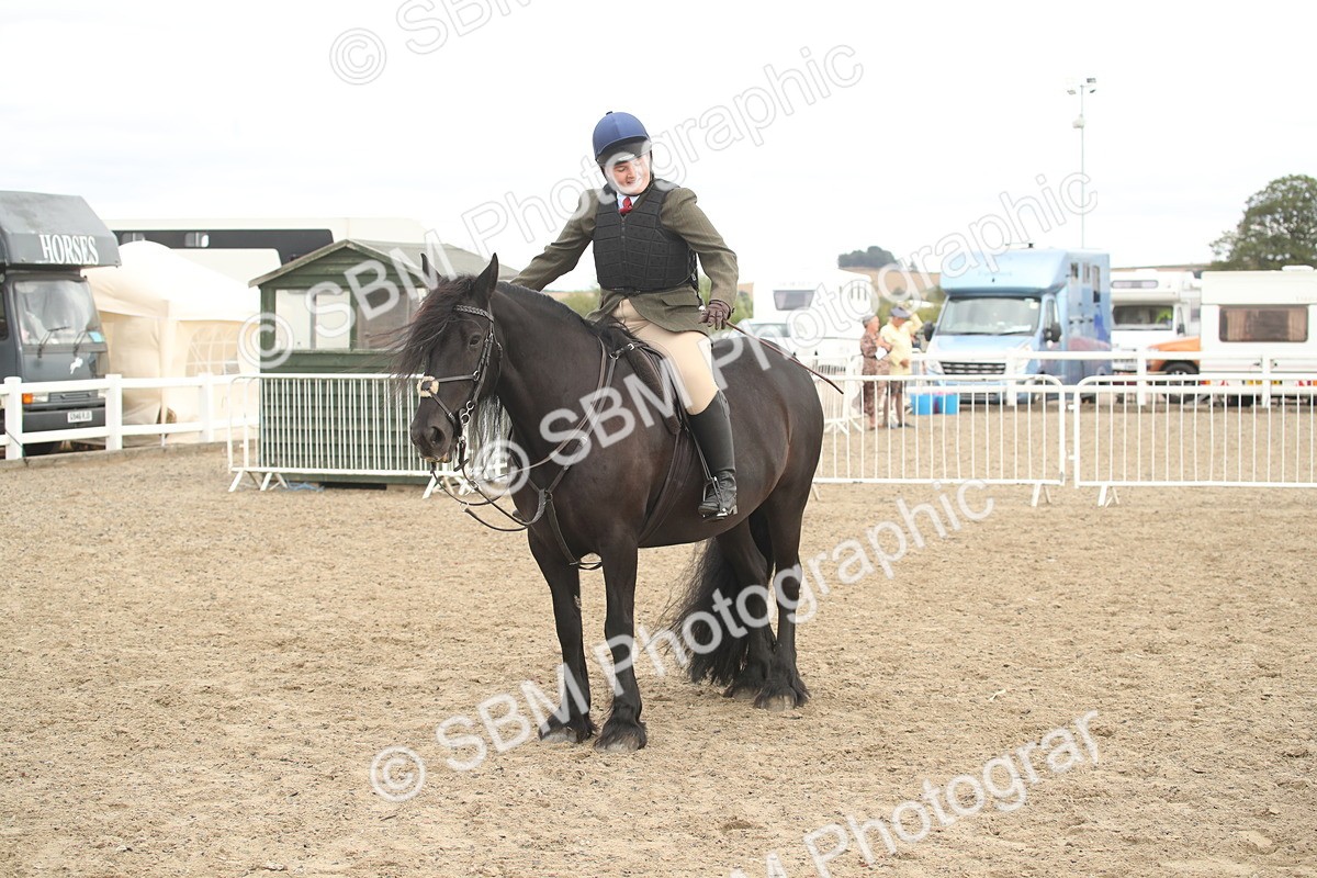 SBM_17726 - Class 508a - Working Veteran 70cm (15-19)