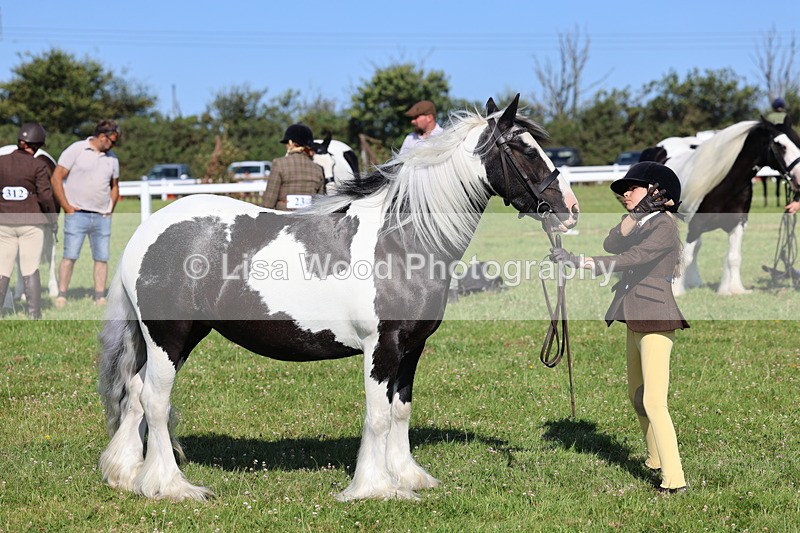 IMG_1581 - Class 30: Ridden Native/Trad Coloured Pony