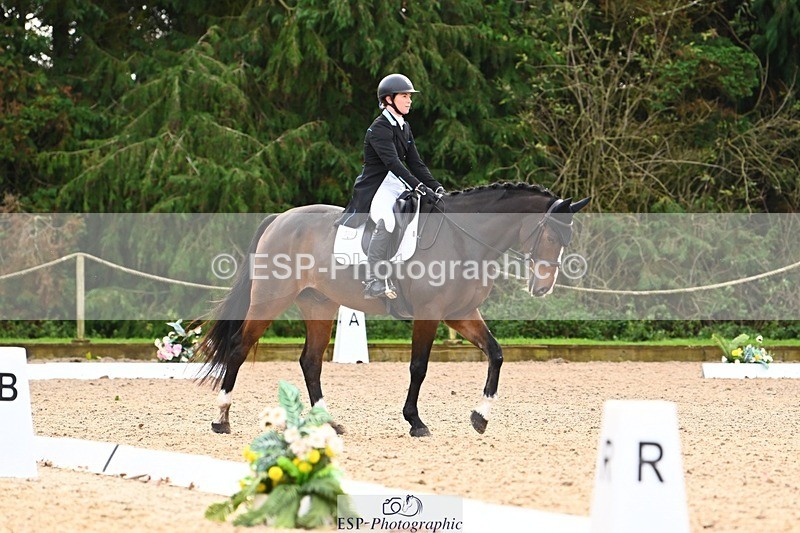 231021-134459-17704 - 350-DAZZLING.SPRINGTIME-Alice.Kneen-DR