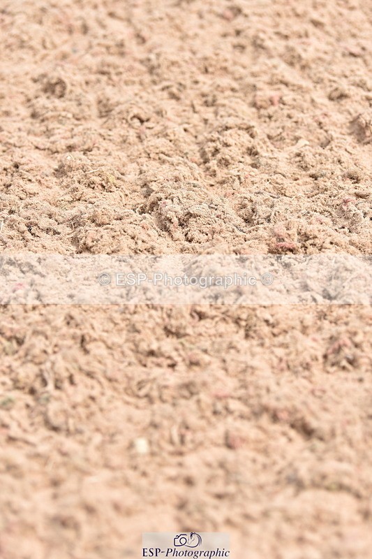 230812A-122728-09235 - Cls 27 85cm Amateur Qualifier