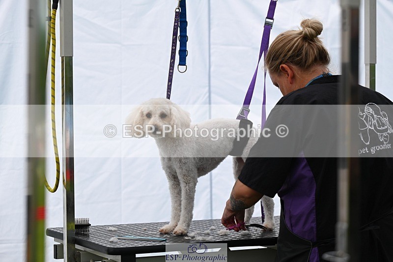 240525-114714-12619 - Candid and Saturday Hobby Horse