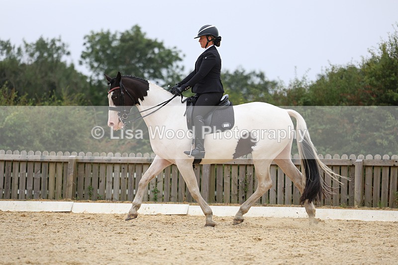 3E7A7346 - Class 9: Elementary 4 2024 - No sections