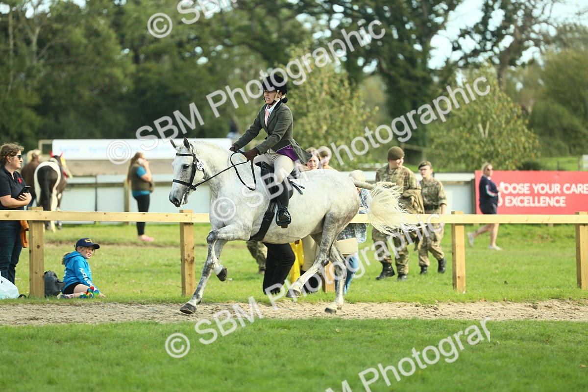 SBM_50706 - S33 - Working Hunter & Working Show Horse